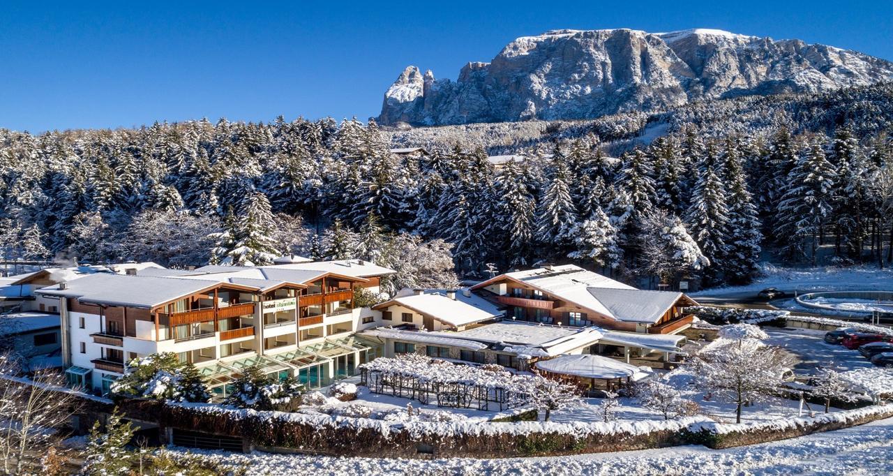 Superior Double or Twin Room Mountain View