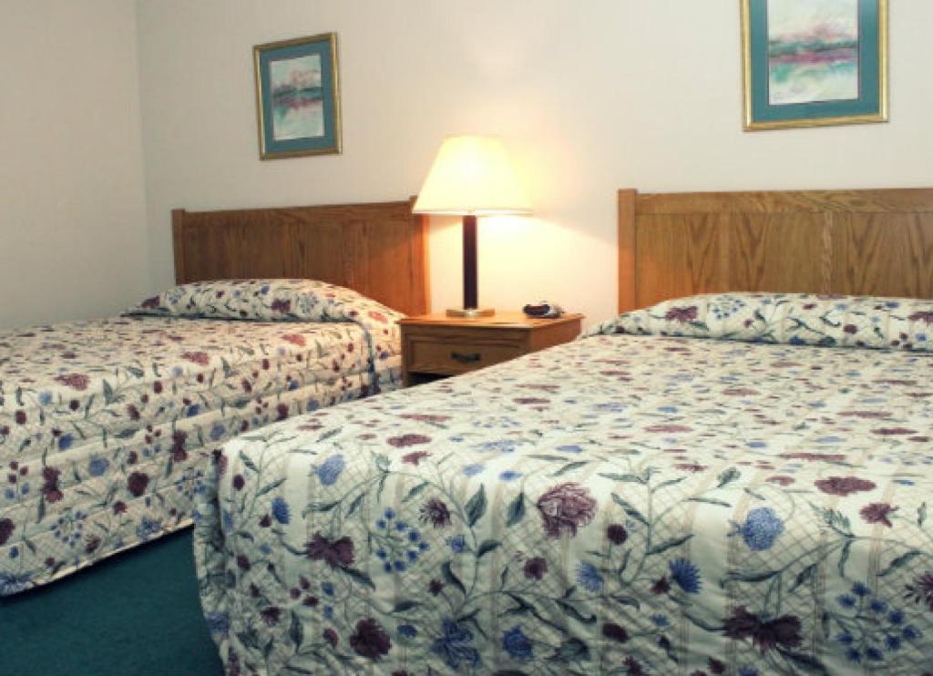 Queen Suite