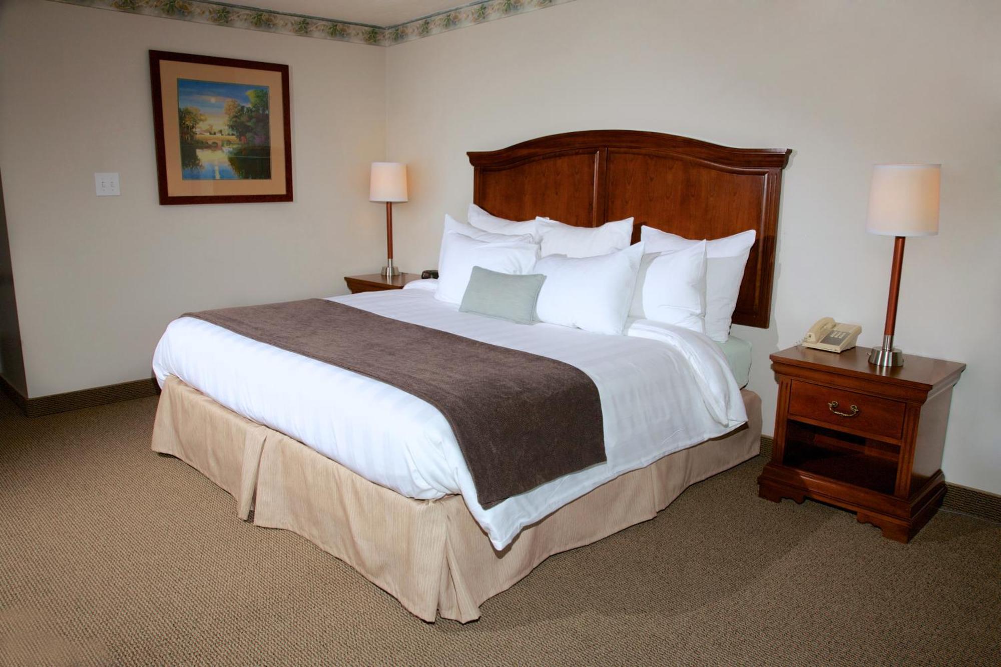 King Room,66057718:JPEG