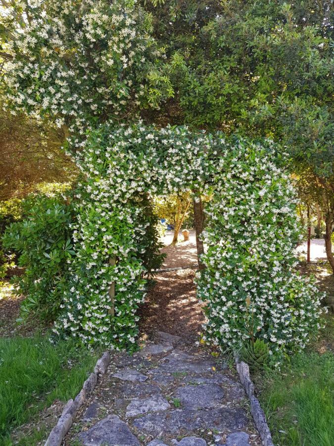 Classic Double Room,1499799754:JPEG