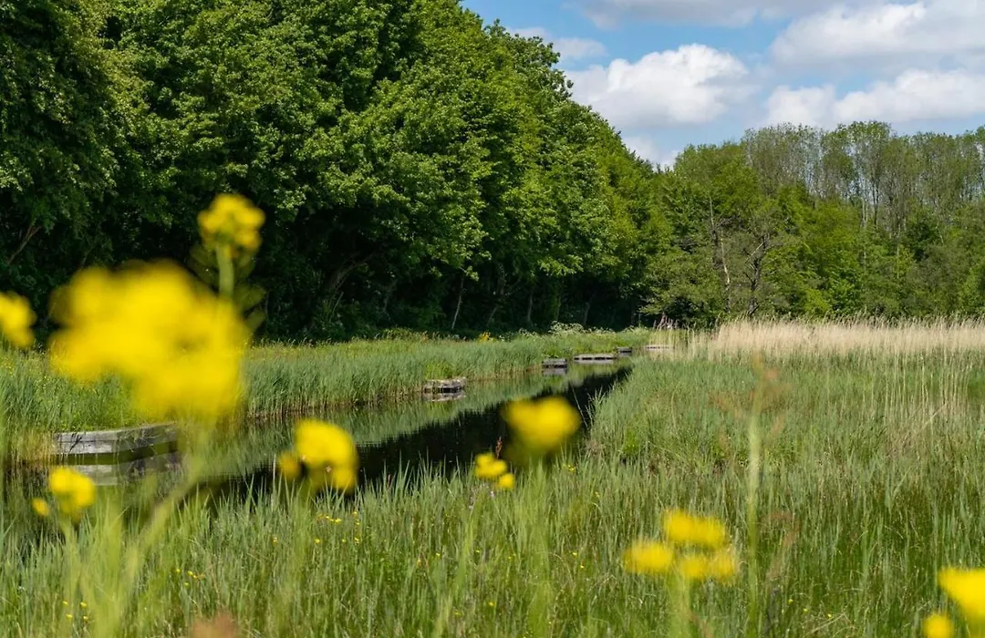 EuroParcs Het Amsterdamse Bos-1