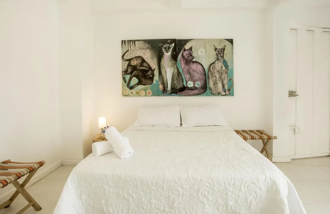 Hotel Barahona Cartagena-1