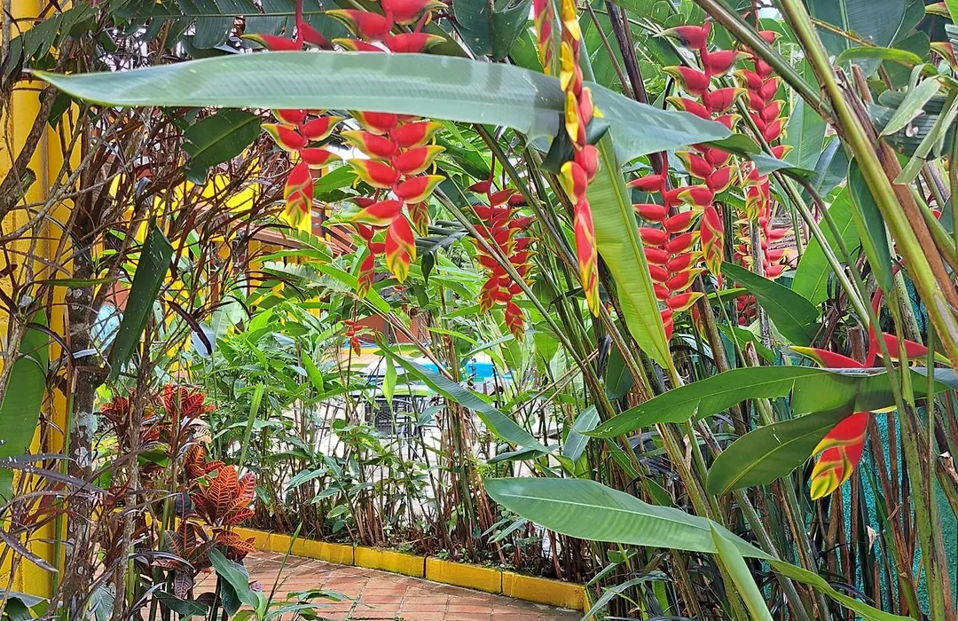 Pousada Trilha da Serra-1