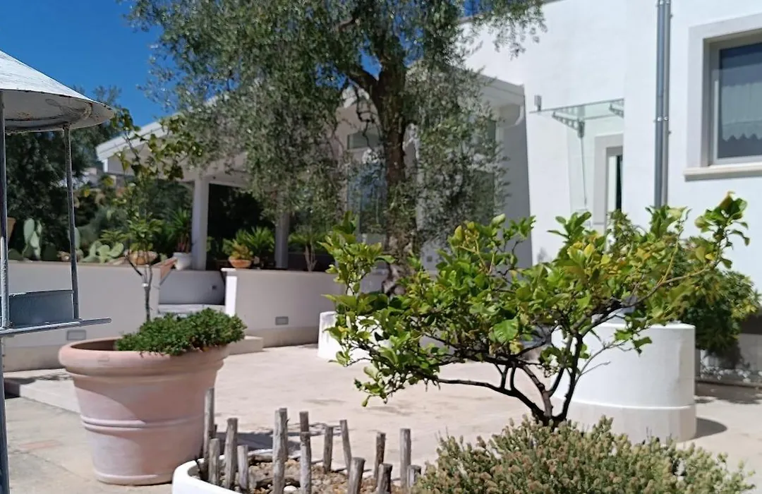 B&B Sperlonga-1