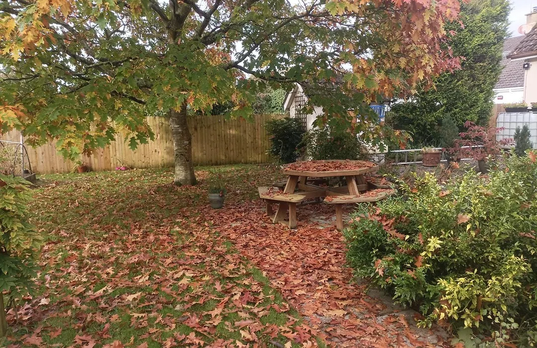Twin Oaks Bed & Breakfast-1