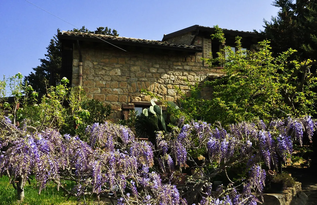 La Casa sulla Collina d'Oro-1