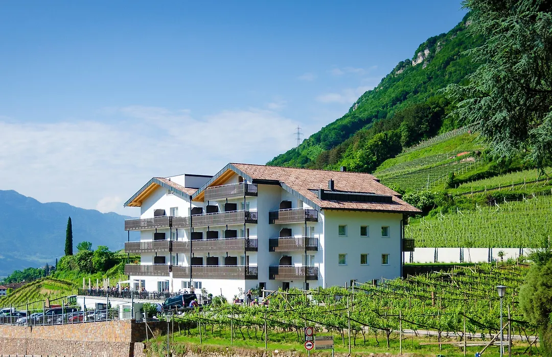 Vineus Tramin-1