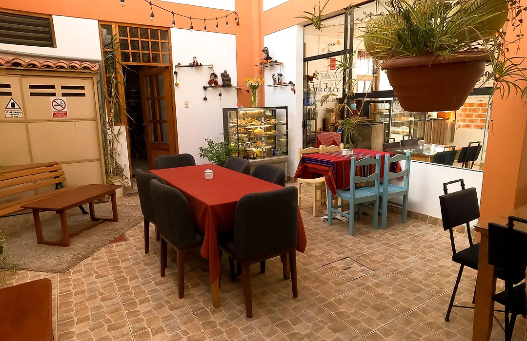 Eco Bunnu Inn-1