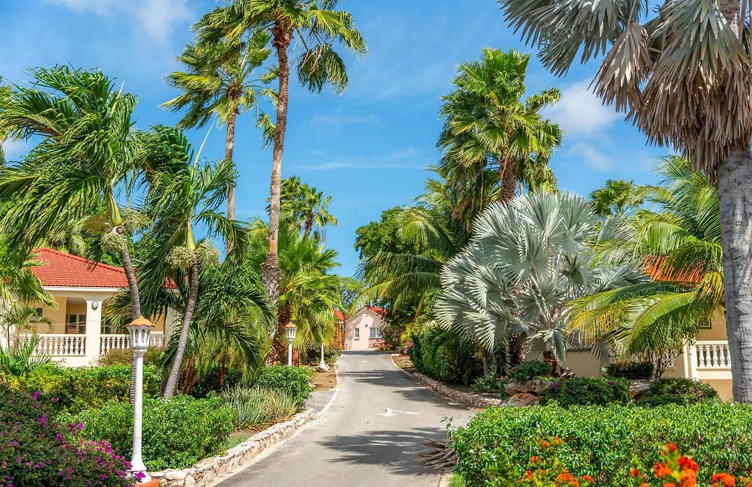 Sonesta Hotels & Resorts Livingstone Curacao-1