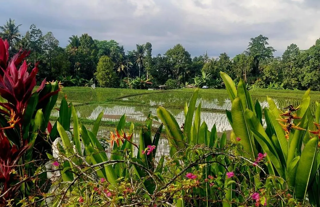 Taman Eden Cottage-1