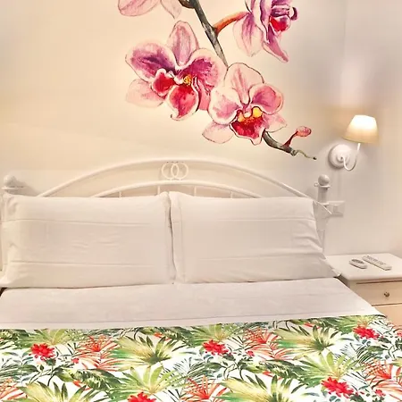 My Monopoli- Casa Dei Fiori "Orchidea" Centro Storico-2
