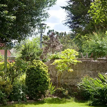 The Old House Guest House-2