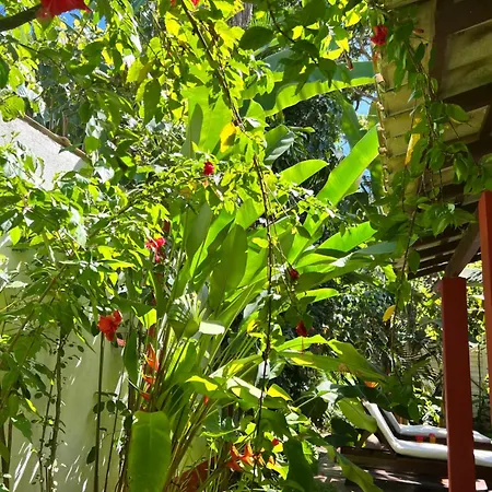 Casa da Beatriz-2
