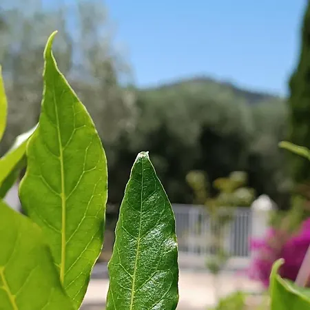 B&B Sperlonga-2