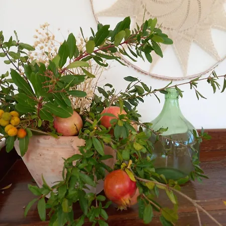 B&B Sperlonga-3