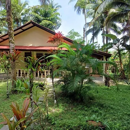 Lake View Bungalows-2