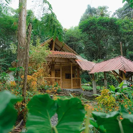 Finca Las Palmas Ecolodge-3