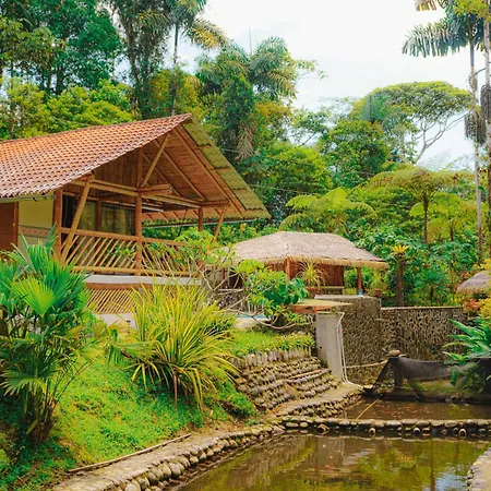 Finca Las Palmas Ecolodge-2