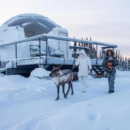 Borealis Basecamp-3