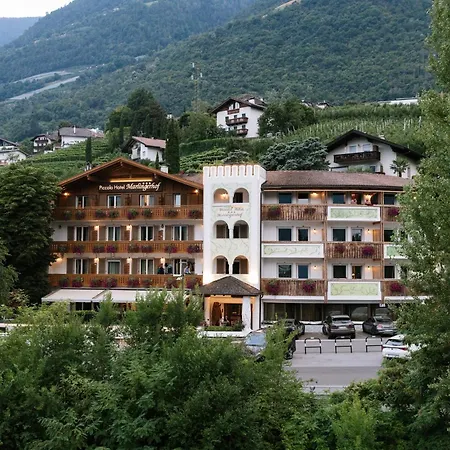 Hotel Marlingerhof-3