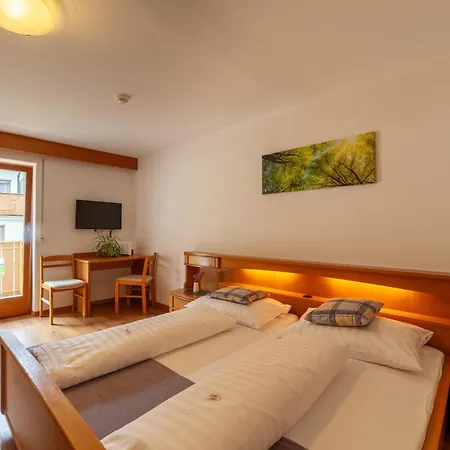 Almhotel Bergerhof-3