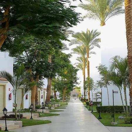 Jaz Fanara Residence-3