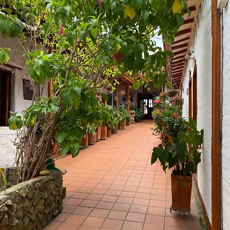 Hotel Casa Posada Don Chepe-2