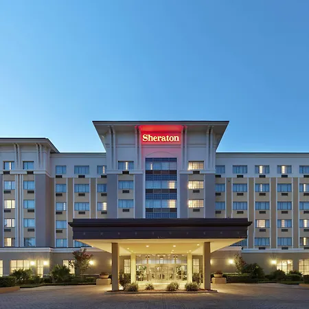 Sheraton Jacksonville Hotel-2