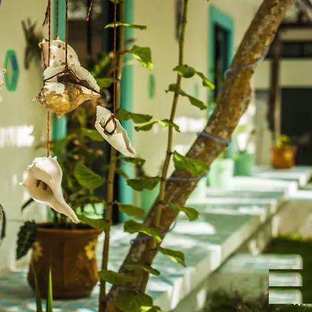 Hotel Villas Tiburon Adults Only-2
