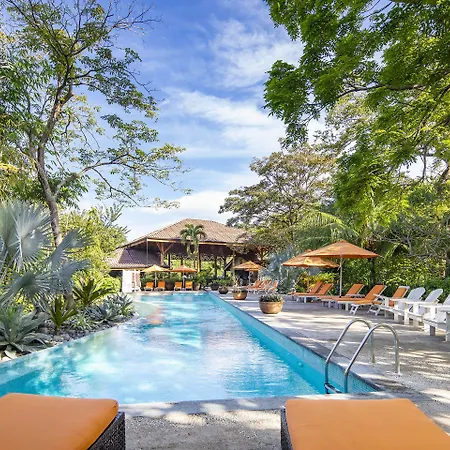 Bodhi Tree Yoga Resort-3