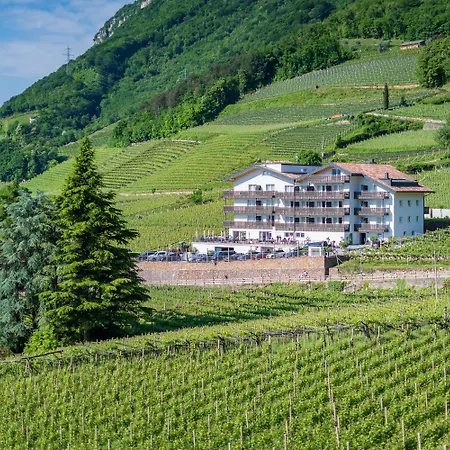 Vineus Tramin-2
