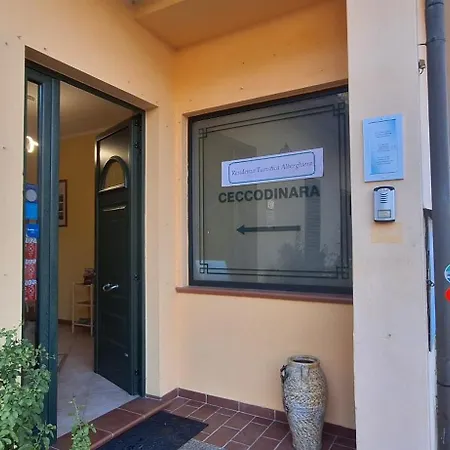 Cecco di Nara-3