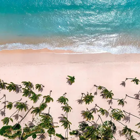 Hyatt Vivid Punta Cana - Adults-Only All-Inclusive Resort-2