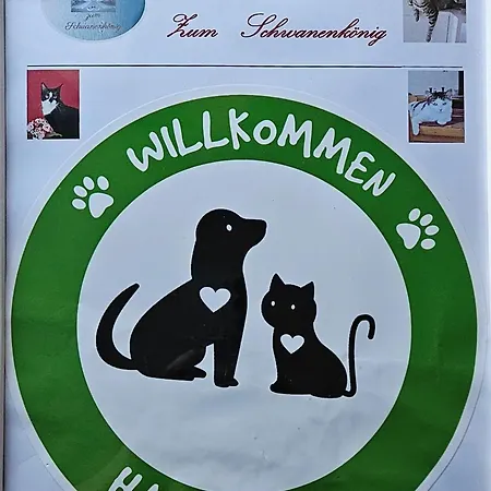Hotel Medebach - Zum Schwanenkoenig-2