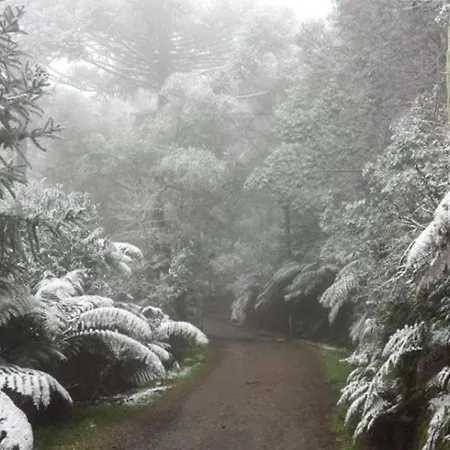 Snow Valley-3