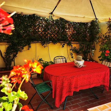 Attic Garden-3