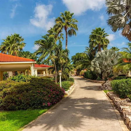 Sonesta Hotels & Resorts Livingstone Curacao-3