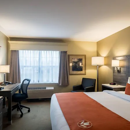 Amsterdam Inn & Suites, An Ascend Collection Hotel-3