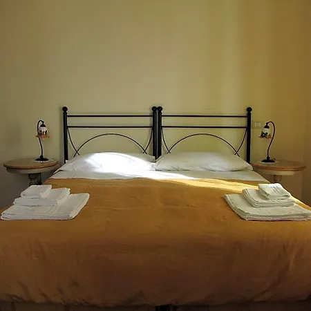 B&B Agon-2