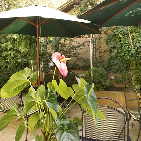Hotel Villa Delle Rose-2