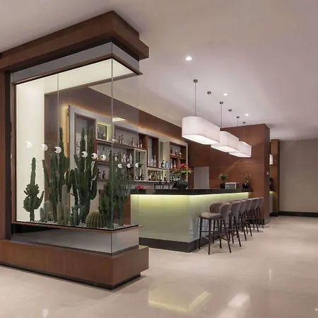 Radisson Blu Hotel Ankara Cankaya-2
