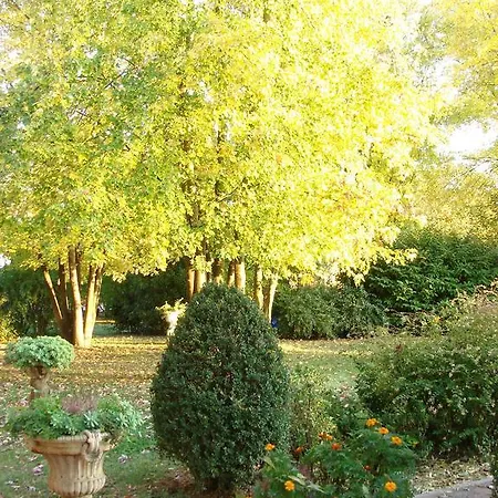 La Corte Del Cavaliere Bed&Breakfast-2