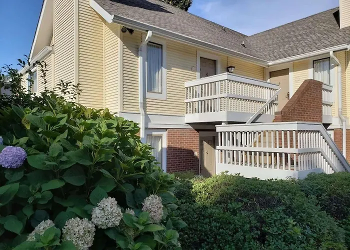 Hotel: Surestay Studio By Best Western Charlotte Executive Park