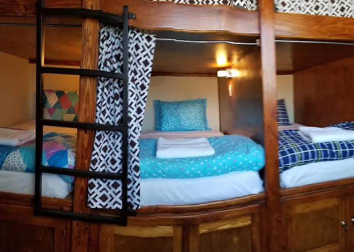 Pet Friendly hotel: De Alamo Hostel