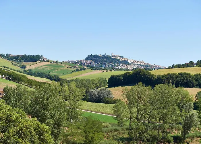 Il Pettirosso