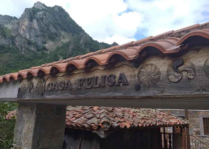 Hotel que admite mascotas: Casa Felisa