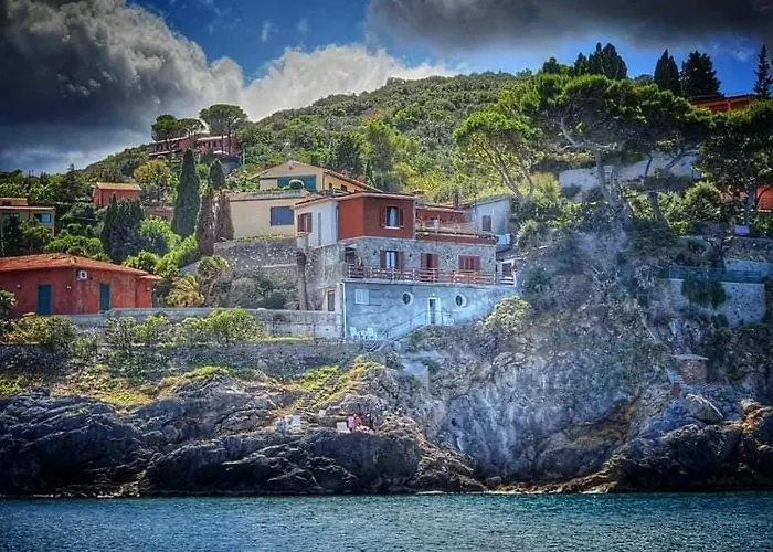 Flora Argentario