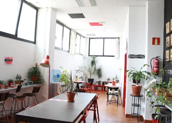 Hôtel accueillant les animaux: Bilbao Akelarre Hostel