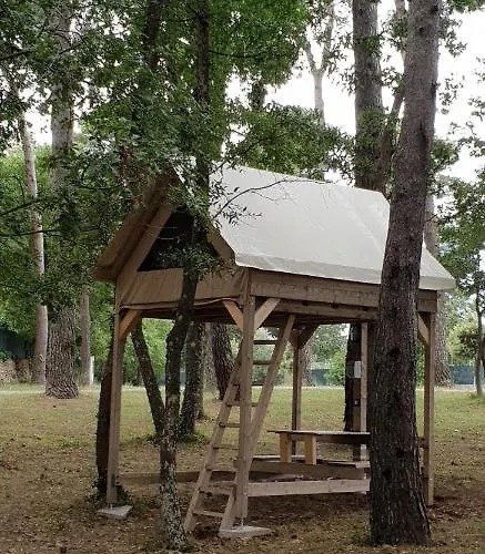 Hotel adatto agli animali: Villaggio Camping Bosco Selva