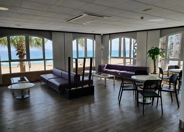 Hotel de 3 estrellas: Hotel Bilbaino